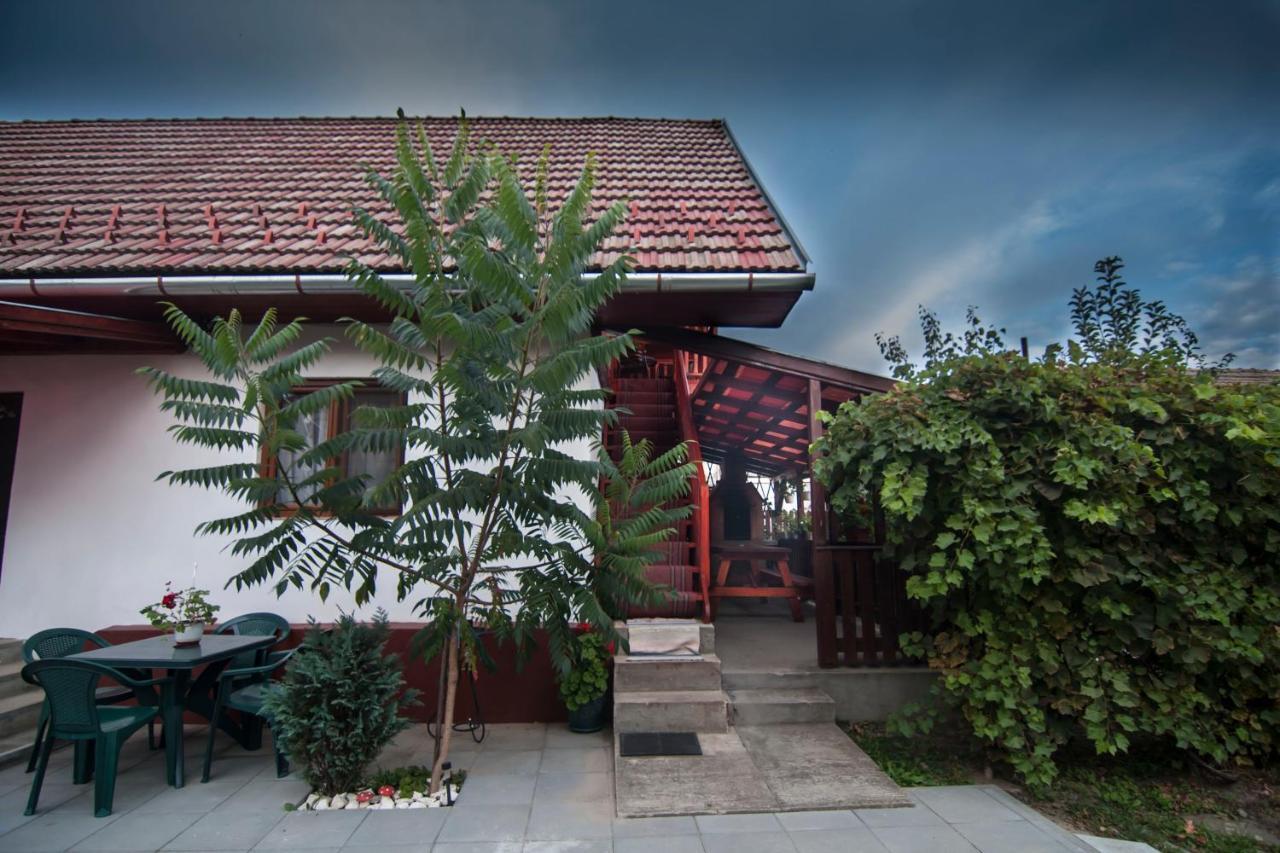 Dobra Haz Hotel Covasna Bagian luar foto